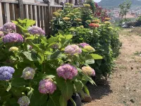 Tianhailan Homestay Hotel in zona Motianling
