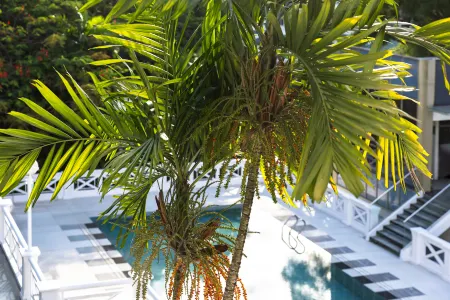 METT Singapore Отели рядом с достопримечательностью «Maya Mohan Hot and Cold Drinks»