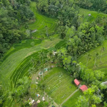 Pesona Bali Ecolodge by Agata Отели рядом с достопримечательностью «Храм Батукару»
