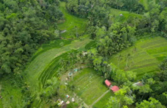 Pesona Bali Ecolodge by Agata Hoteles cerca de Pura Luhur Batukaru