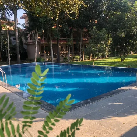 CHITWAN FOREST RESORT