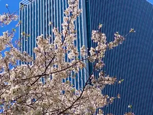 Alberghi Gastronomico a Nagoya: le opzioni più popolari