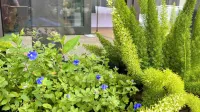 HANA Minh Chau Hotel