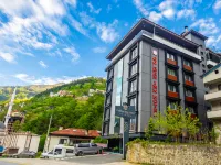 Golden Inn Hotel Uzungöl Hotels in Caykara