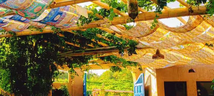 Turpan Yifangting · Vineyard Courtyard Homestay (Frog Lane, Grape Valley Scenic Area) Hotel di Turpan