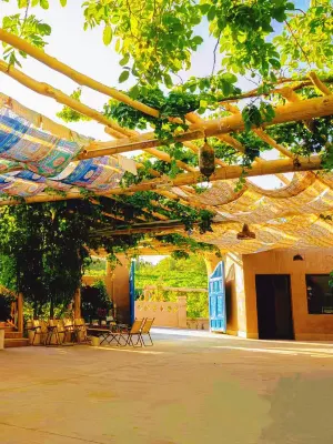 Turpan Yifangting · Vineyard Courtyard Homestay (Frog Lane, Grape Valley Scenic Area)