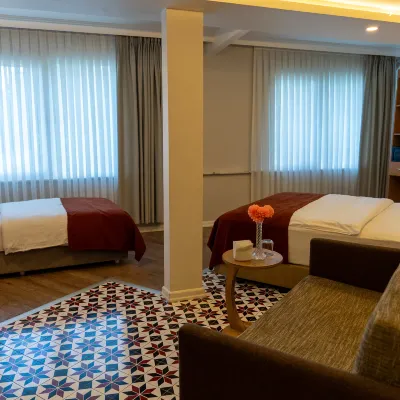 The Mu City Hotel Hotels near Ortahisar