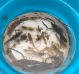 Floral Lux Hotel South Anhui Sichuan-Xizang Line Xijiantang Hotel - Gym