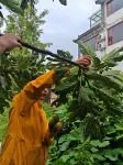 Dali Shengjiu Homestay (Longkan Wharf) - petit déjeuner