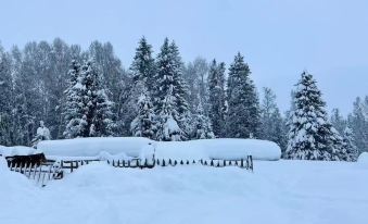 Hemu Open to the Mountain Homestay(Hemu Bridge Store)