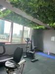 Holiday Inn Express HEFEI HUAIHE ROAD by IHG - Gym