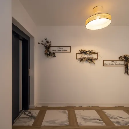 Palatina Concept Suites