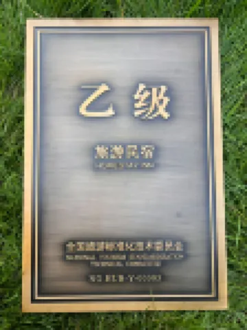 That Year Boutique Theme Inn