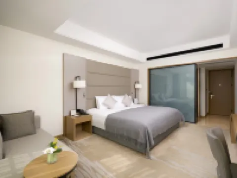 Shunhui Century Baden Hotel Hotels in Mianyang