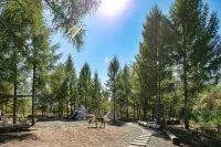 Renjoy Hotel (Changbaishan North Slope Visitor Center) - vue sur la montagne