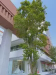 Rooftop Homestay - ที่มีอ่างอาบน้ำ
