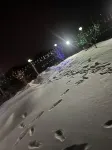 雪映瀾庭民宿 虎峰站附近的飯店