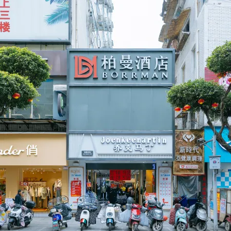 Borrman Hotel (Yibin Daguanlou Guanying Ancient Street)