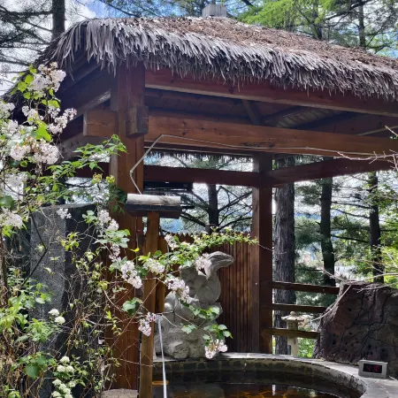 Changbaishan Tianmu Daisi Hot Spring Hotel