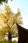 Anji SHUBO Shubo Homestay