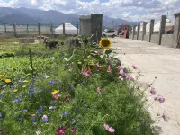 Barkol Songshutang Junma Post Station Homestay