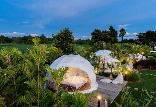 1. 더 캠프스터 칸..