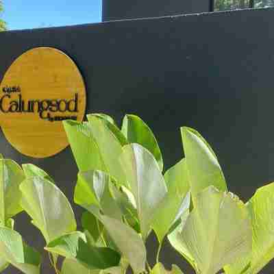 Casa Calungsod La Union Rooms