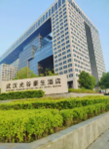 Wuhan Howard Johnson Optics Valley Hotel Hotels in Wuhan