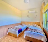 Yunhe Terraced Fields Tianjian Yunwu Homestay - สัตว์เลี้ยง