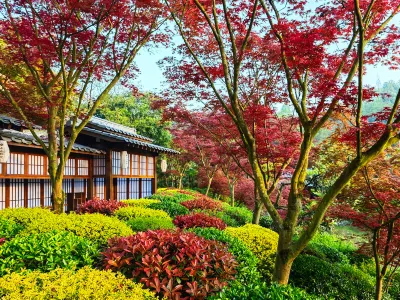 Dujiangyan No Secret Realm Homestay Hotel di Dujiangyan