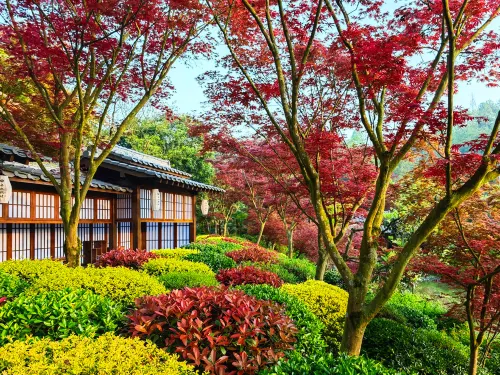 Dujiangyan No Secret Realm Homestay Hotels in Dujiangyan