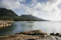 애플리트 하우스