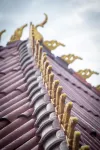 Hometown of Dragon Hotel
