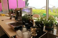 Xuelanggu Xingkong Yunqi Homestay