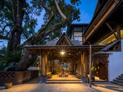 Xiangongjia Courtyard - Sea of Cloud-View Inn, Jingmai Mountain Ancient Tea Forest