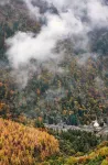 Mountainside Reverie - Dağ Manzaralı