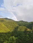 Youyou Xianshi Homestay - New
