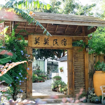 momo hotel