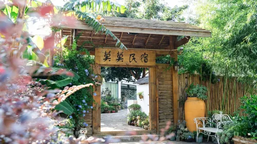 momo hotel