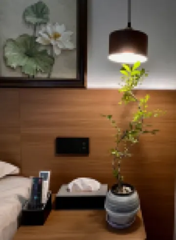 Qingwu Bieyuan Homestay (Hongtong Station)