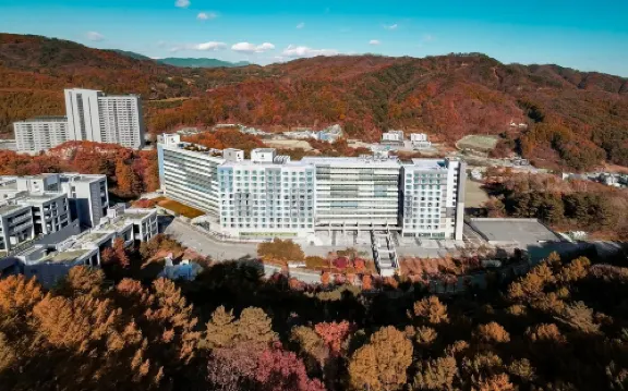 호텔 어라운드 평창