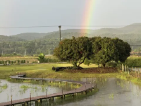 The North Cafe : Tiny & Cozy Private House