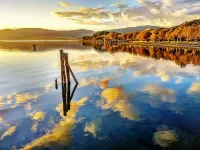 Ray of sunshine