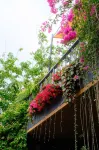 Vanilla Ho Tram Homestay