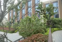 Homeinn Plus Hotel (Ningbo Fenghua Xikou Tengtou Ecological Park)