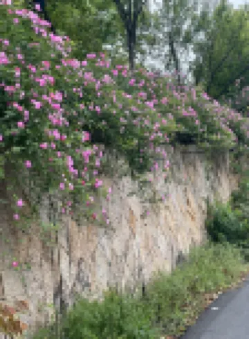 Rooftop Park Hyatt Residence 천태산 대폭포 주변 호텔