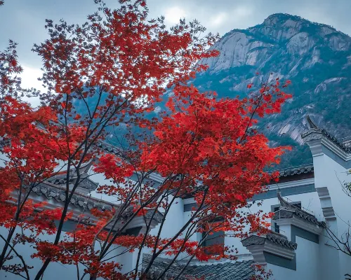 Huangshan Yungu Mountain Spa Resort Экстерьер Photos
