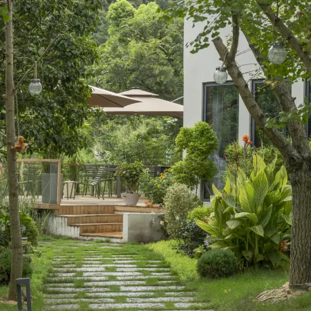 Changxing Lin Yin tea language homestay
