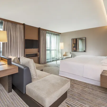 Sheraton Grand Tbilisi Metechi Palace