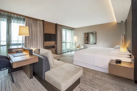 Sheraton Grand Tbilisi Metechi Palace
